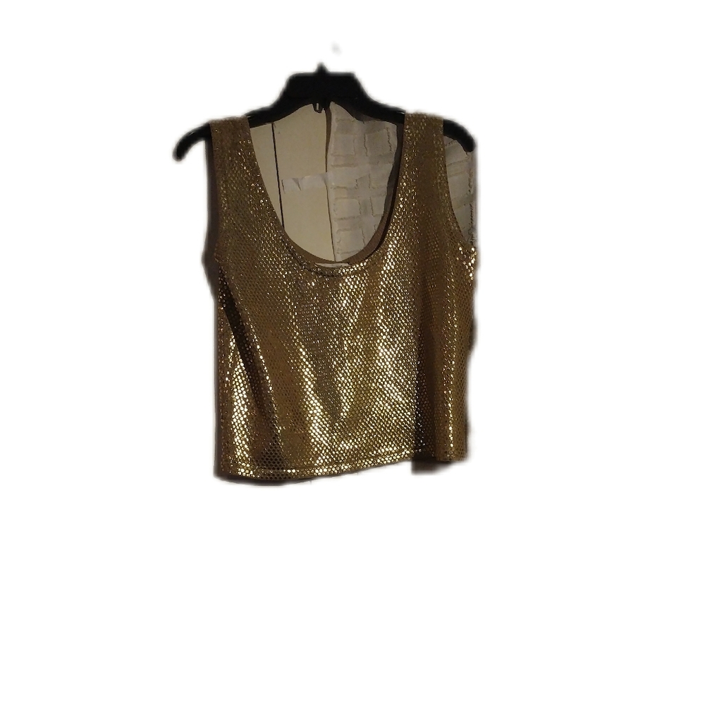 Beautiful shimmery gold crop top blouse